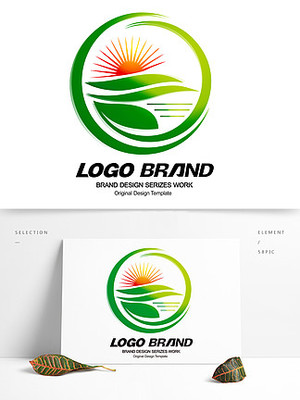 绿色产品包装设计 可持续发展与美学融合